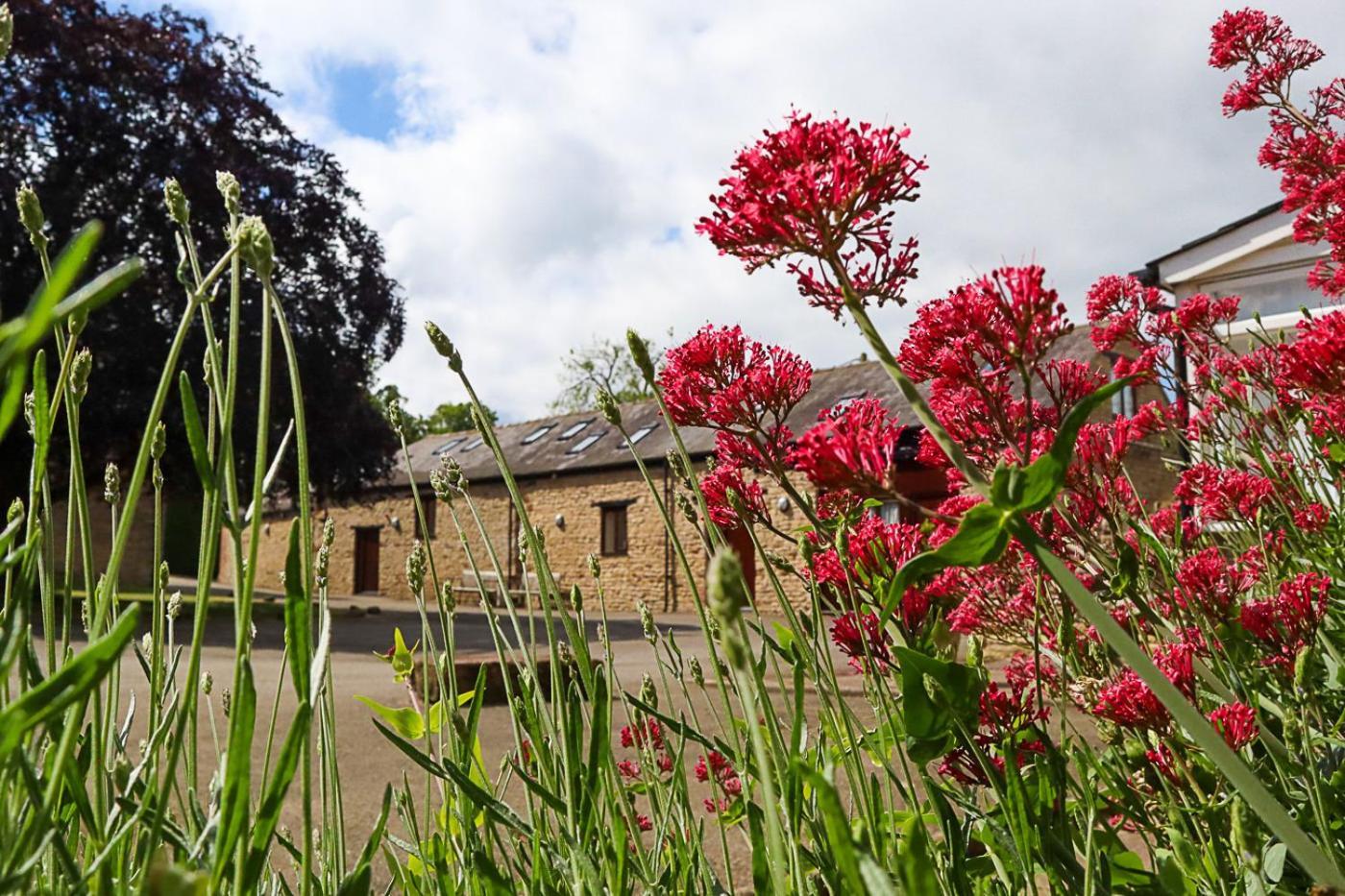 Church Farm Lodge Harrington Eksteriør billede
